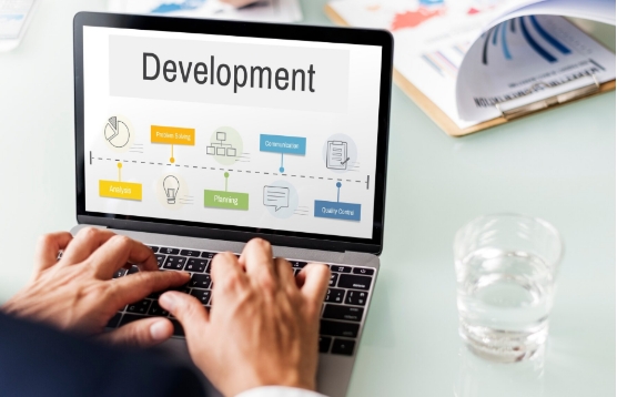 CMS Development